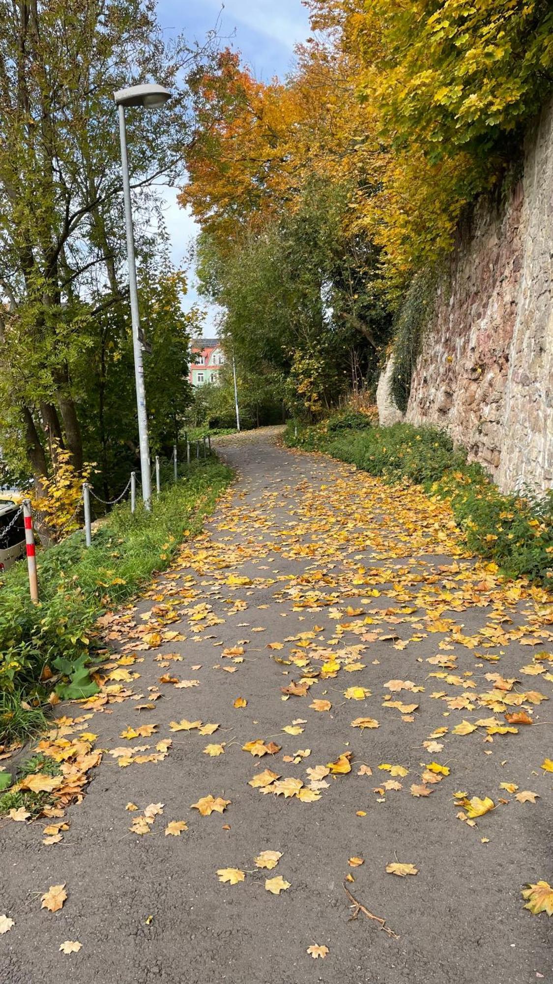 Neu! Oasis - Fewo Am Harz, Hochwertig Kernsaniert, 83 Qm, Eg نوردهاوزن المظهر الخارجي الصورة